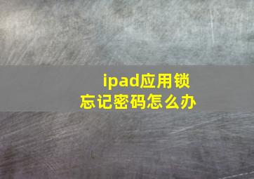 ipad应用锁 忘记密码怎么办